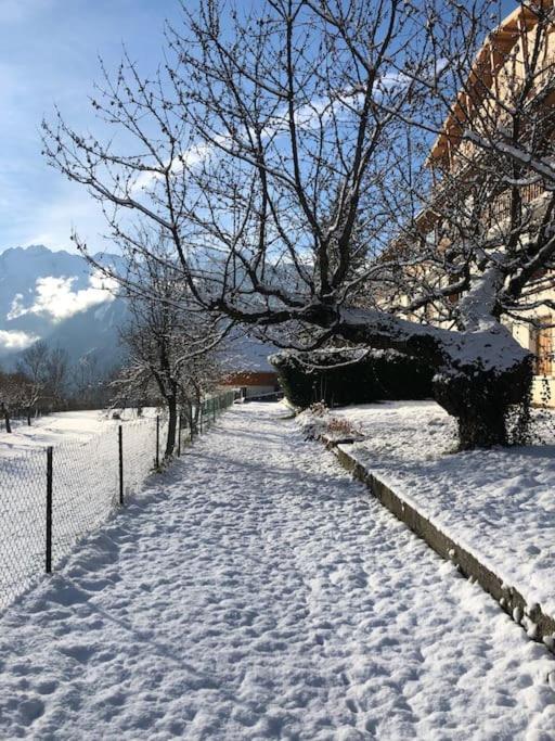 Appartement Rez De Jardin Montee De L'Alpe D'Huez La Garde  Exteriör bild